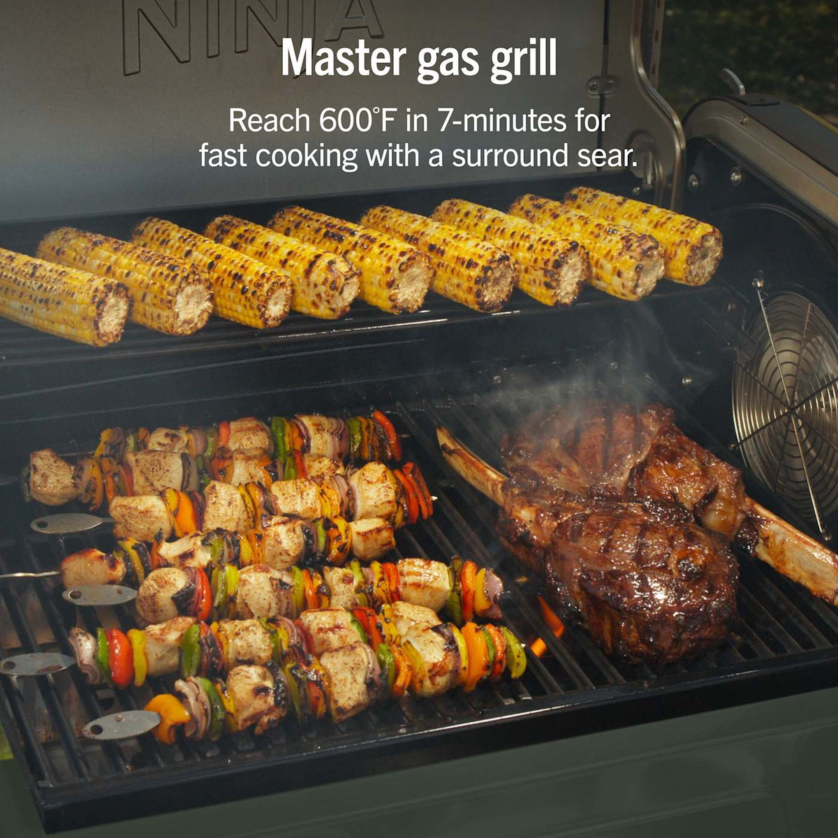 Ninja™ FlexFlame™ Propane Grill & Outdoor Cooking System, Green