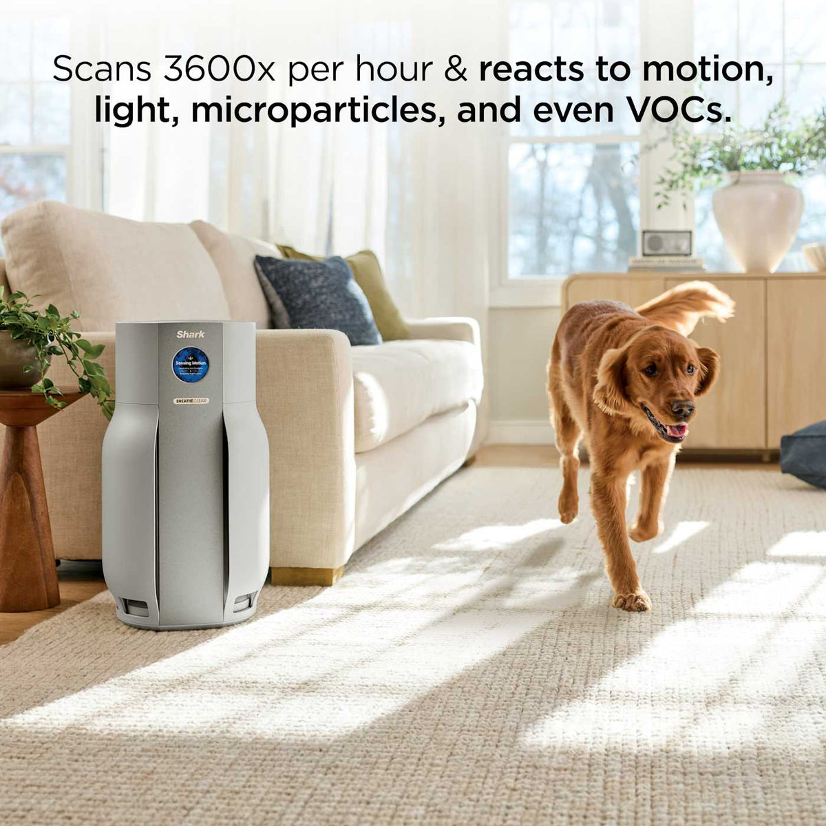 Shark BreatheClear™ Air Purifier MAX with NeverChange™, Dove
