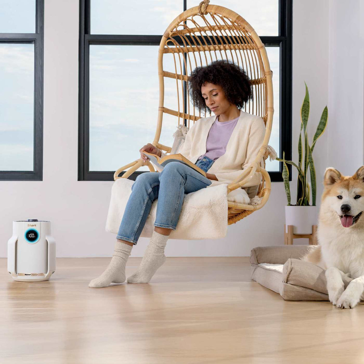 Shark NeverChange™ Air Purifier MAX and NeverChange™ Air Purifier Compact Pro Bundle