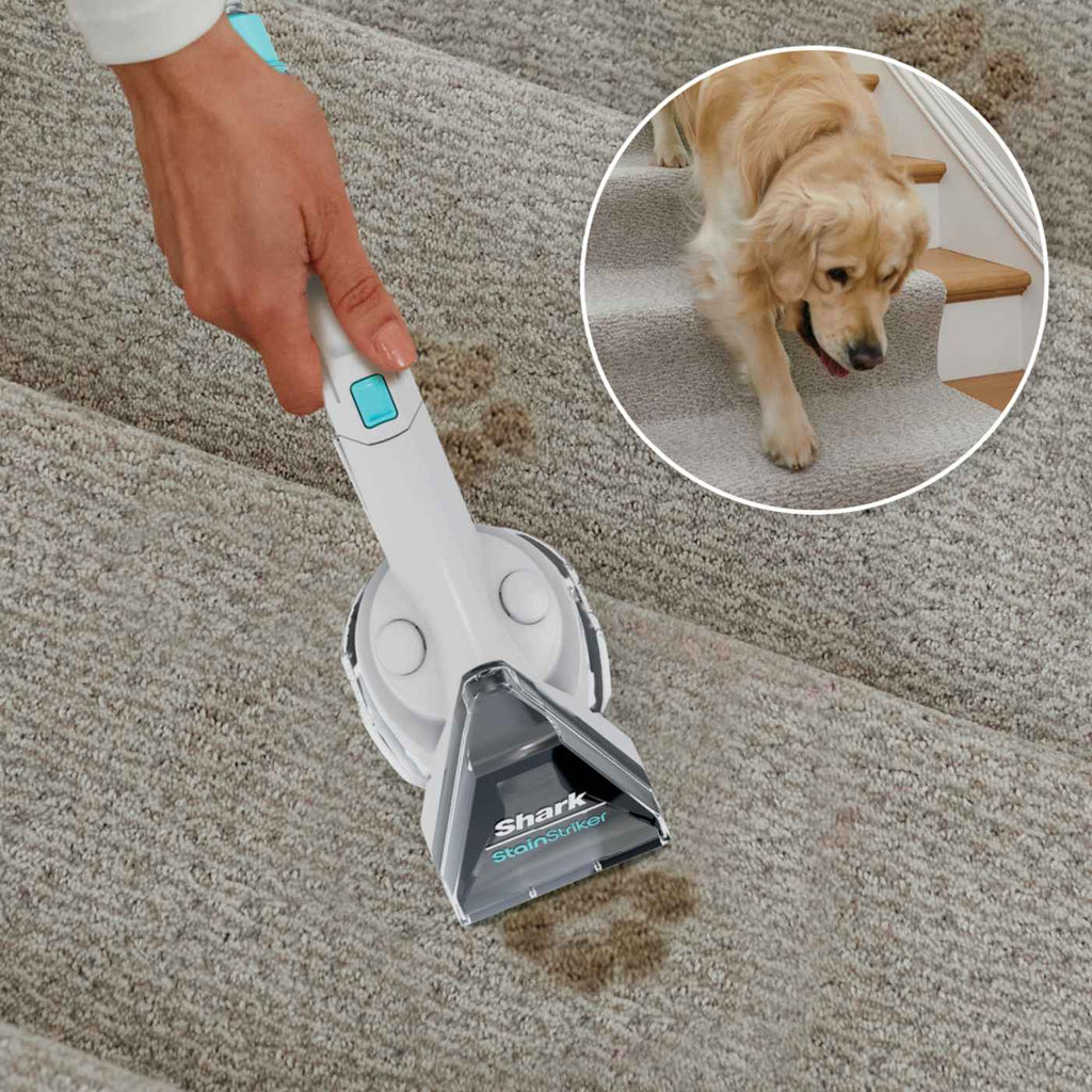 Shark StainStriker Portable Carpet and Upholstery Cleaner